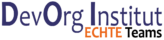 DevOrg Institut